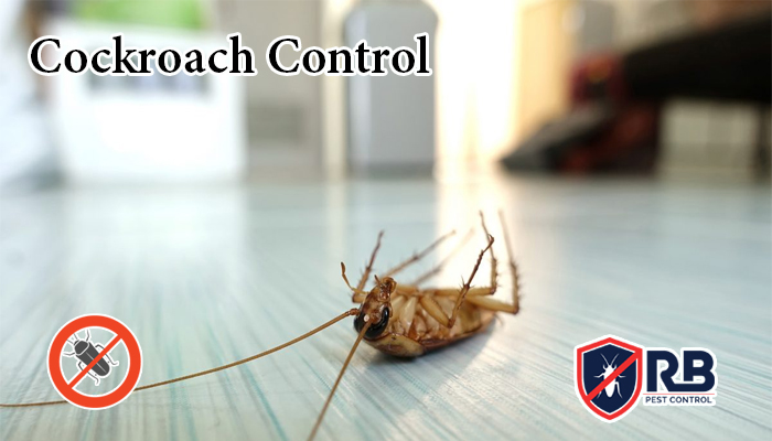 cockroach control in Dhaka -01911252054