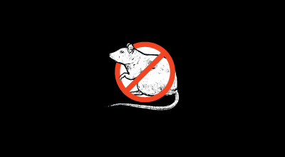 Rodent control service in Dhaka