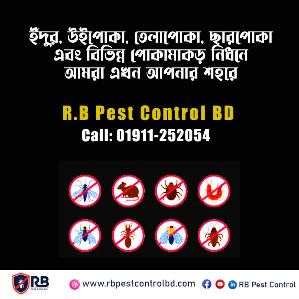 Pest Control Services in Dhaka