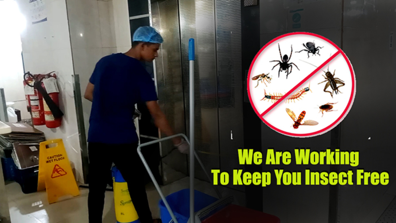 RB Pest Control Services