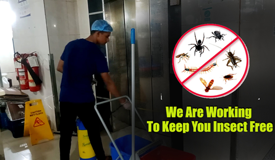 RB Pest Control Services