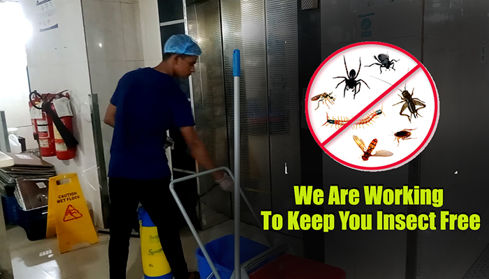 Best Pest Control Services in Dhaka