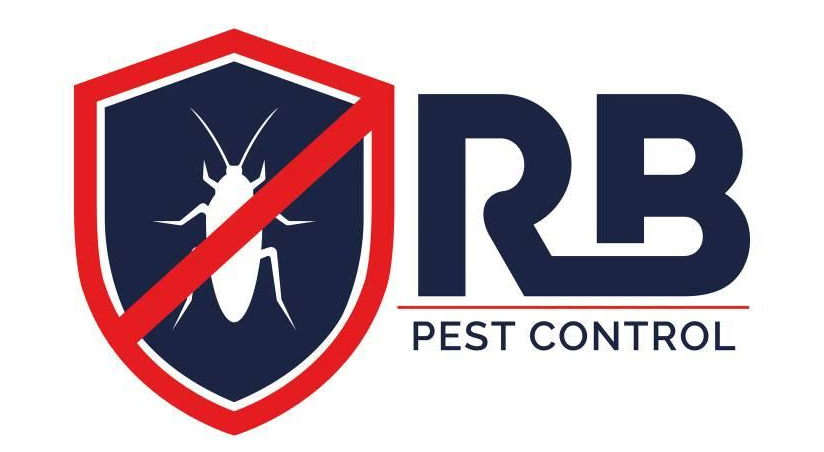 Best & Reliable Pest Control Service Company in Dhaka Bangla