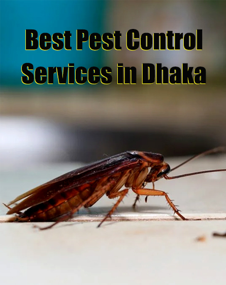 Best Pest Control Services in Dhaka