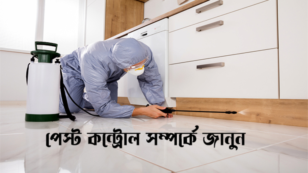 পেস্ট কন্ট্রোল সার্ভিসেস ইন ঢাকা