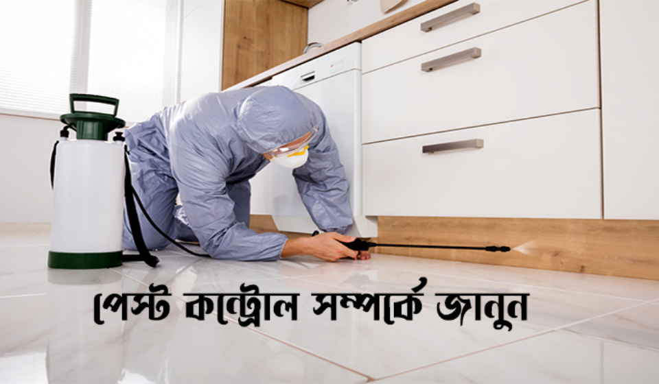 পেস্ট কন্ট্রোল সার্ভিসেস ইন ঢাকা