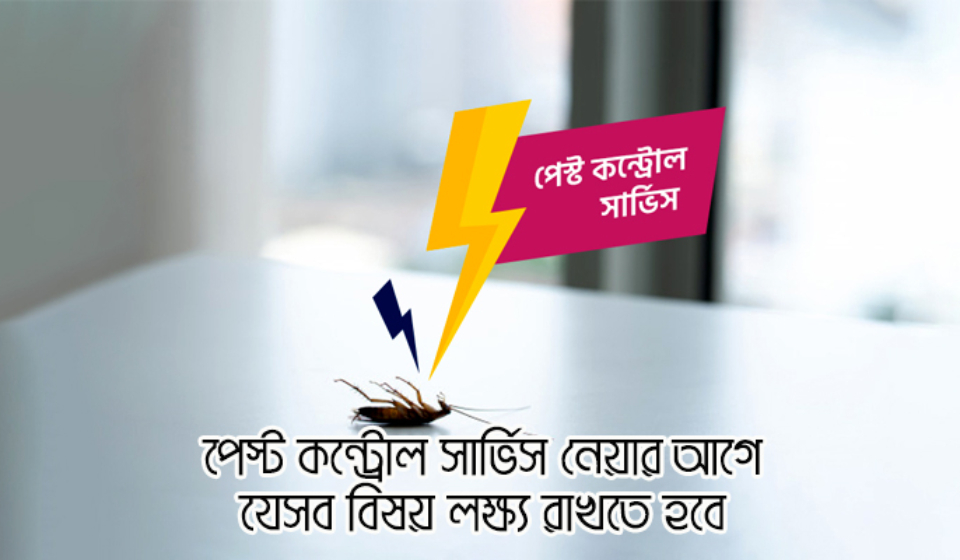 পেস্ট কন্ট্রোল সার্ভিস ইন ঢাকা