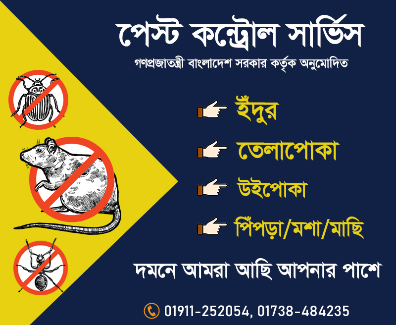 Best Pest Control Services in Dhaka