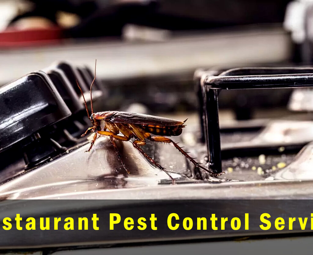 Restaurant Pest Control Service