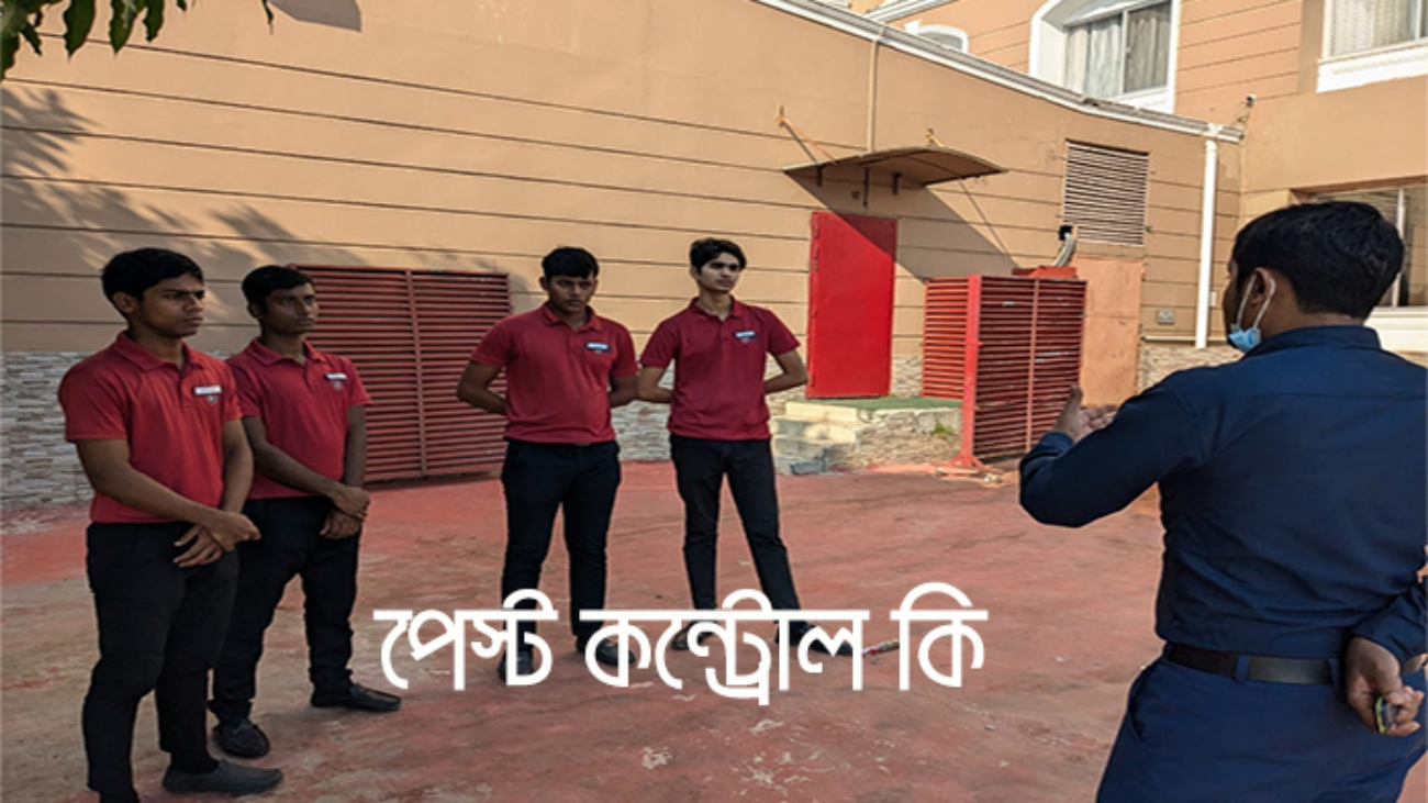 পেস্ট কন্ট্রোল