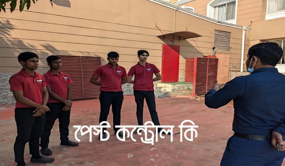 পেস্ট কন্ট্রোল